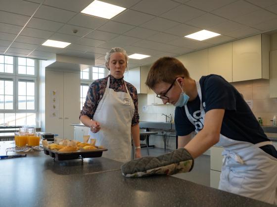 Diensten voeding OV2